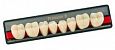 Зубы искусственные акриловые Premium 8 цвет В2 фасон M верх PR8B2M